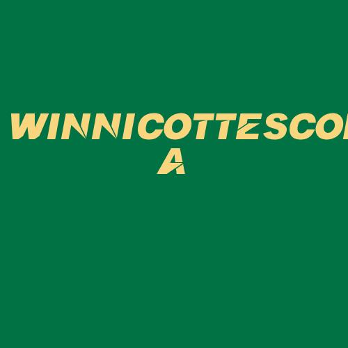 Logo da WINNICOTTESCOLA